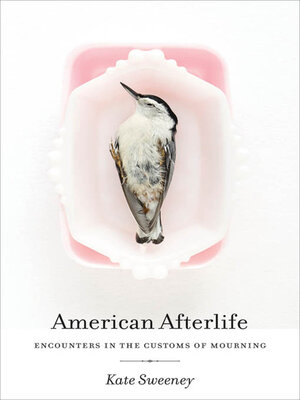 cover image of American Afterlife
